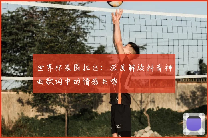 世界杯氛围担当：深度解读抖音神曲歌词中的情感共鸣