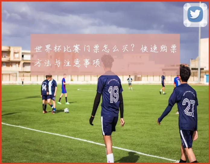 世界杯比赛门票怎么买？快速购票方法与注意事项
