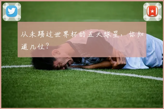 从未踢过世界杯的五大球星,你知道几位?