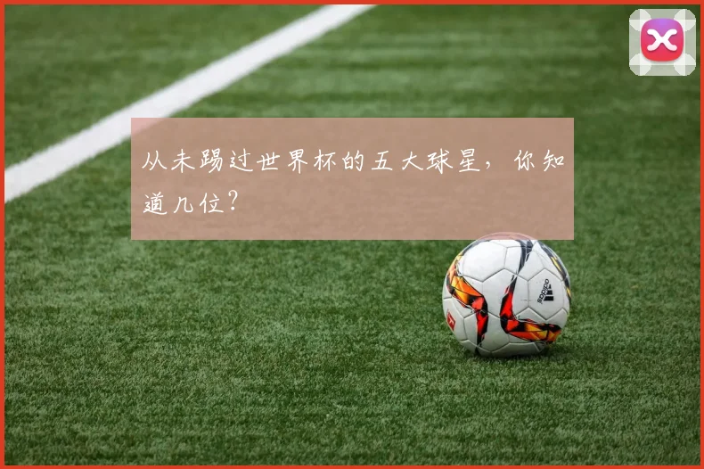 从未踢过世界杯的五大球星,你知道几位?